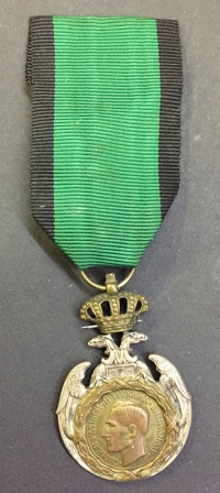 SERBIA - ALBANIA Commemorative Medal Military 1915 