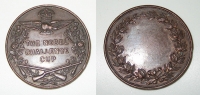 Χάλκινο μετάλλιο RAF 