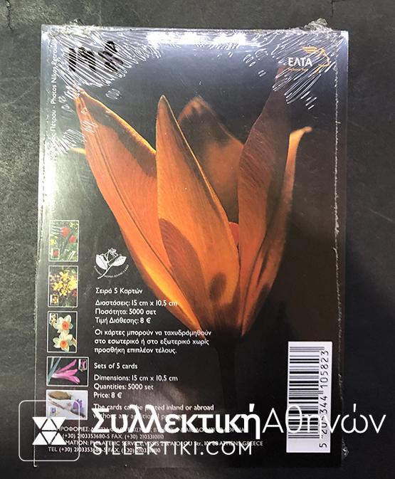 Set 2005 PC Max