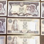 CYPRUS Collection of 14 Different Notes of 1 Pound XF to AU