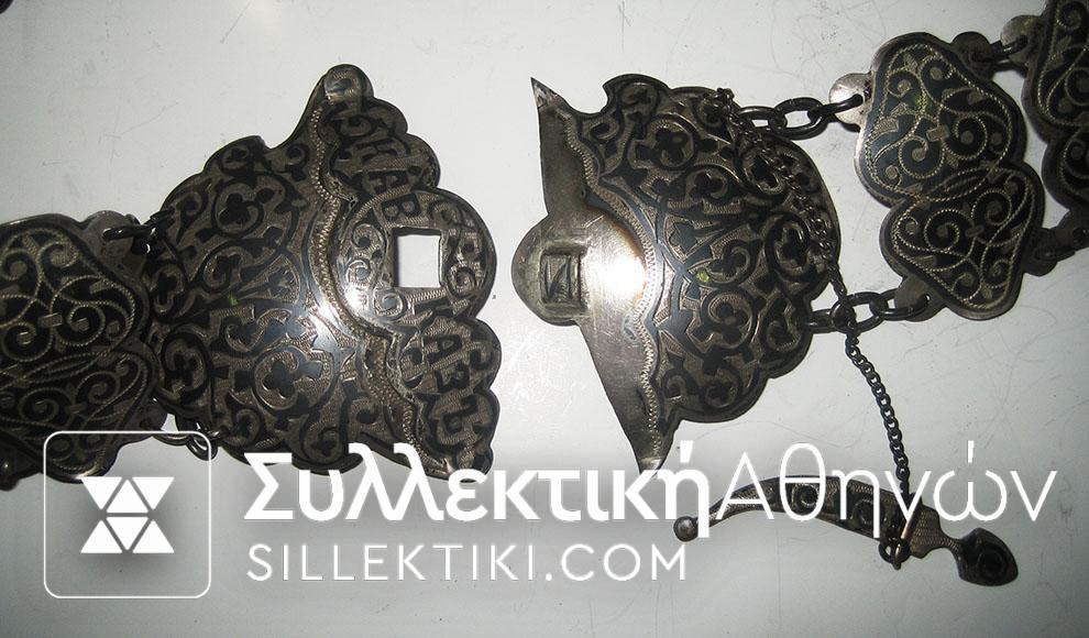 Ασημένια ζώνη σπάνια